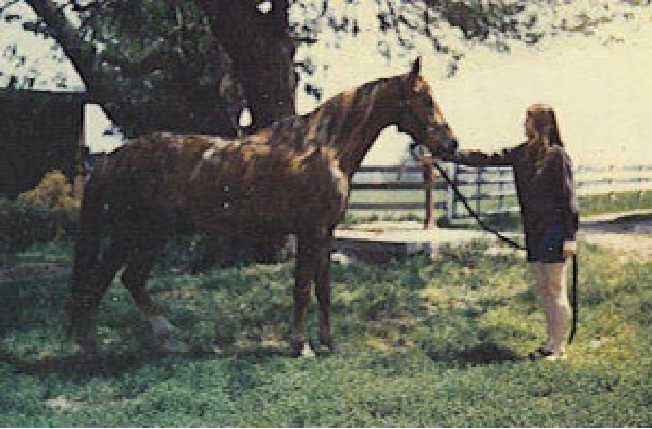 Starlight L. Purchased from Ernie Long, this mare was truly special. She was Colleen's special horse and the one that taught both her daughters to ride. She produced Starshine, World Champion yearling model horse, and Amy's Country Sunshine, dam to NATRC and MFTHBA Hall of Fame horse Hickory's Country Gold.